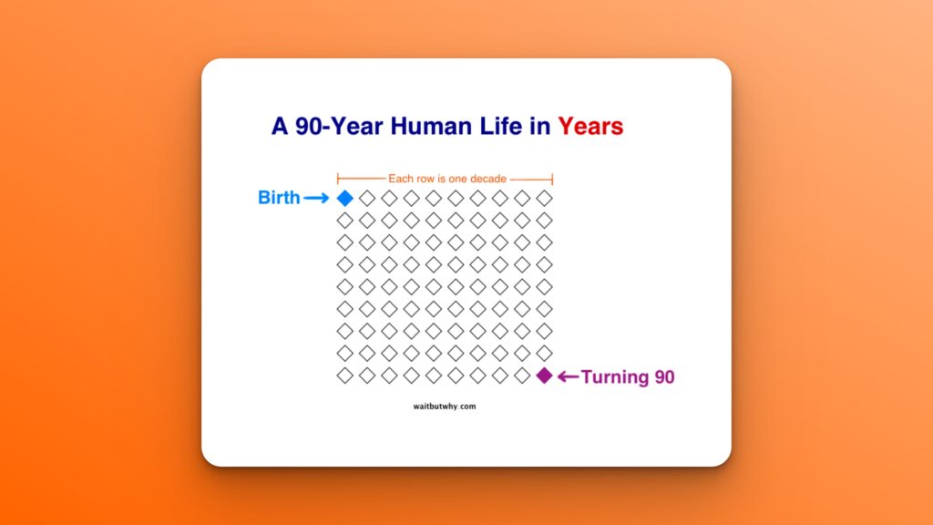 Tim Urban's human life calendar